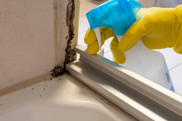 Crawl Space Mold Removal in Great Notch, NJ