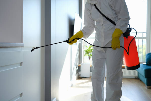 Best Residential Mold Removal  in Great Notch, NJ