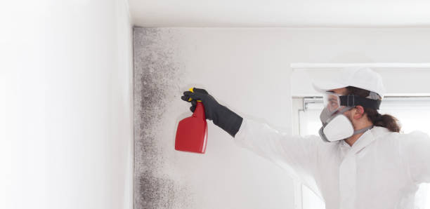 Best Commercial Mold Removal  in Great Notch, NJ