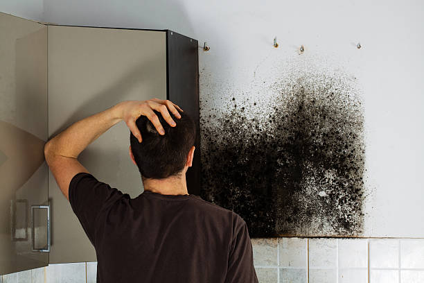 Best Mold Removal Near Me  in Great Notch, NJ
